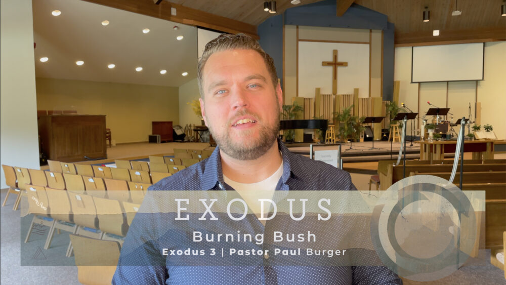 The Burning Bush Image