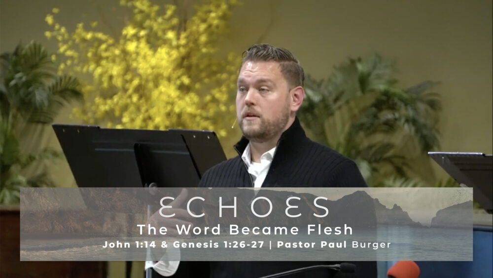 The Word Became Flesh Image